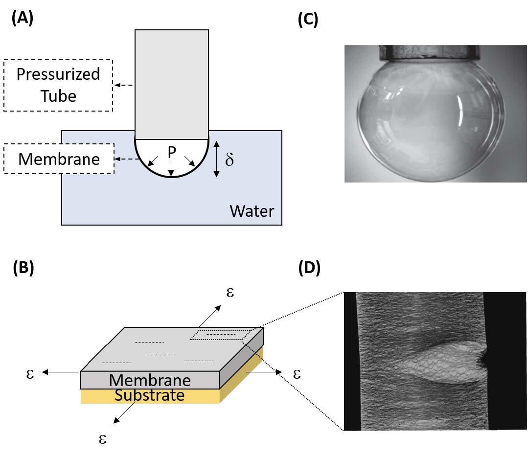 Figure 4.5 Figure 4.5