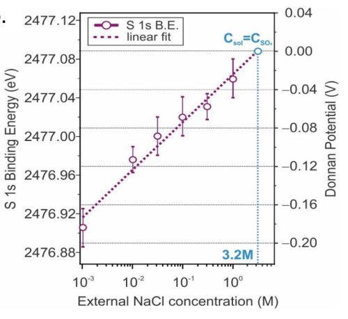 Experimental measurements of the Donnan potential from spectral binding energy shifts of sulfonate group related core as a function of external solution concentration.