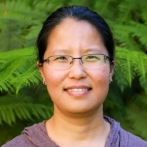 Songi Han