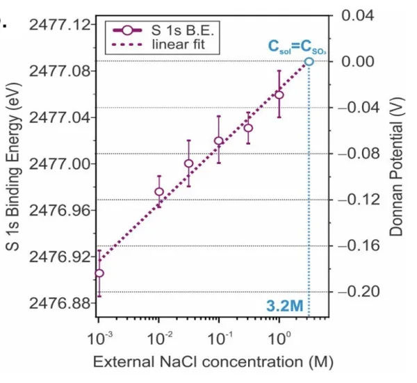 Experimental measurements of the Donnan potential from spectral binding energy shifts of sulfonate group related core as a function of external solution concentration.