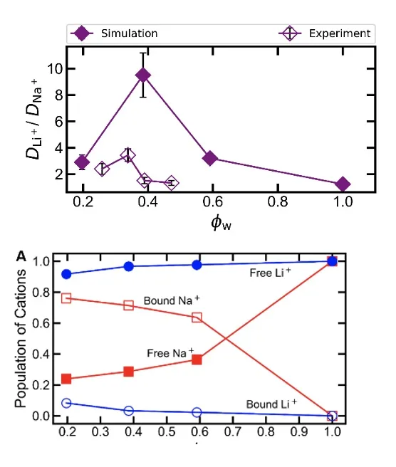 Origins of Lithium/Sodium Reverse Permeability Selectivity in 12-Crown-4-Functionalized Polymer Membranes