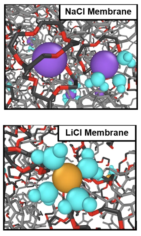 Origins of Lithium/Sodium Reverse Permeability Selectivity in 12-Crown-4-Functionalized Polymer Membranes