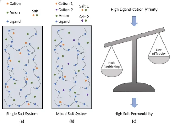 Salt permeation in ligand-functionalized polymer membranes