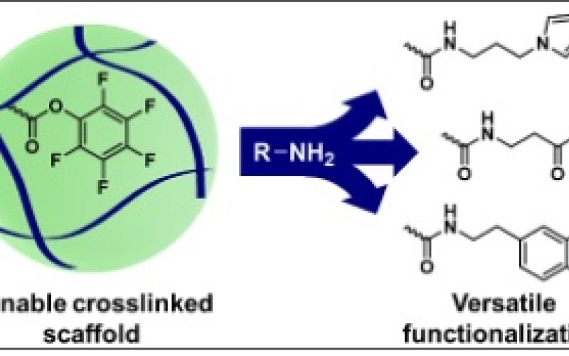 Versatile Synthetic